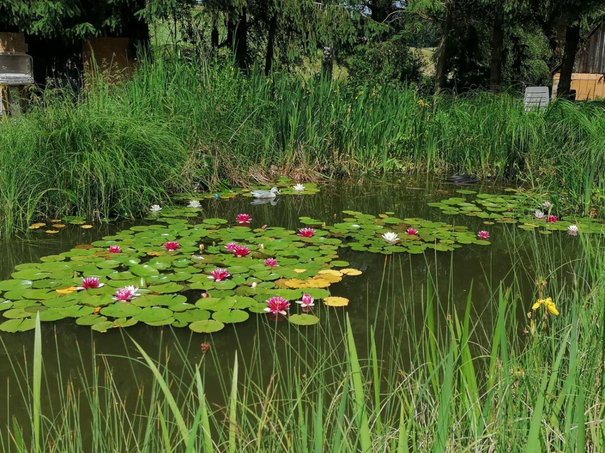 Froschkoenig Mit Teichblick Lägenhet Trendelburg Exteriör bild