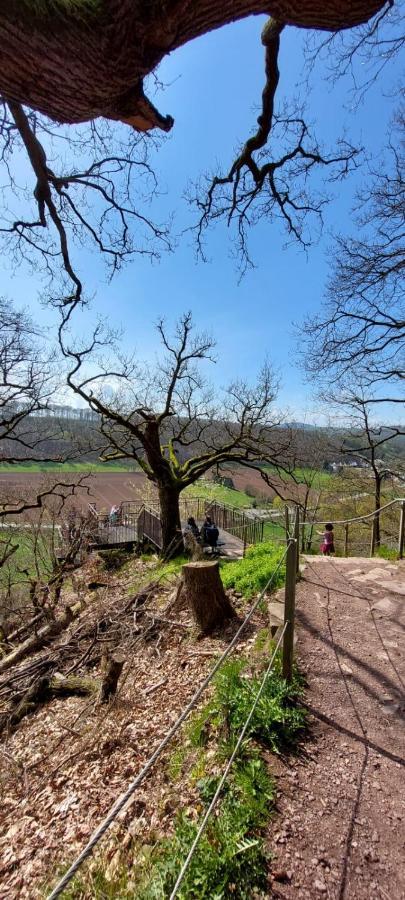 Froschkoenig Mit Teichblick Lägenhet Trendelburg Exteriör bild