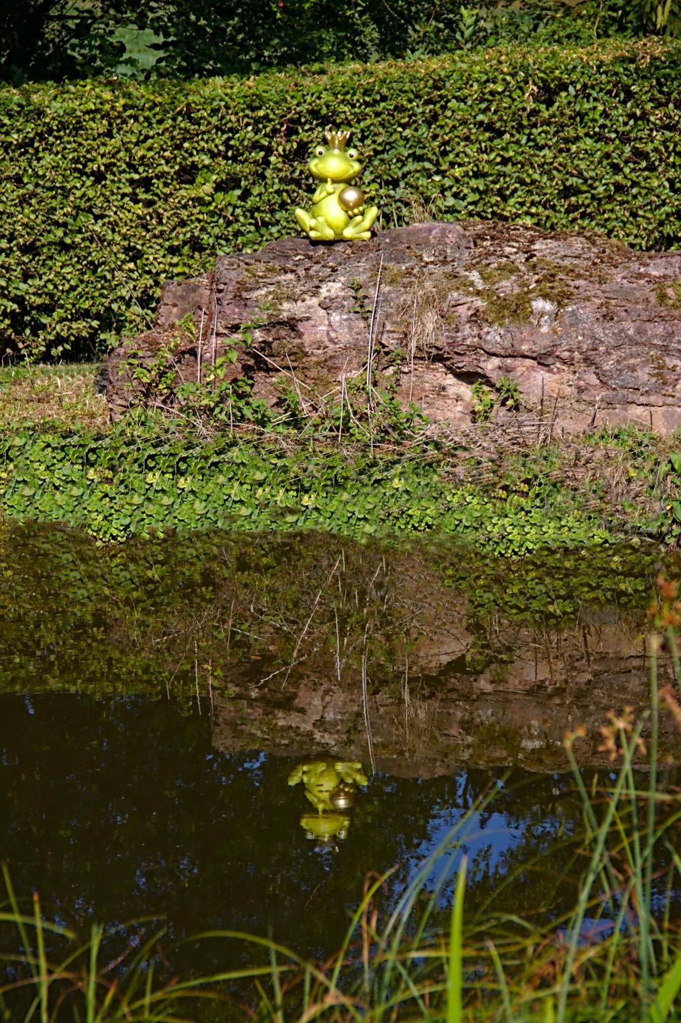 Froschkoenig Mit Teichblick Lägenhet Trendelburg Exteriör bild