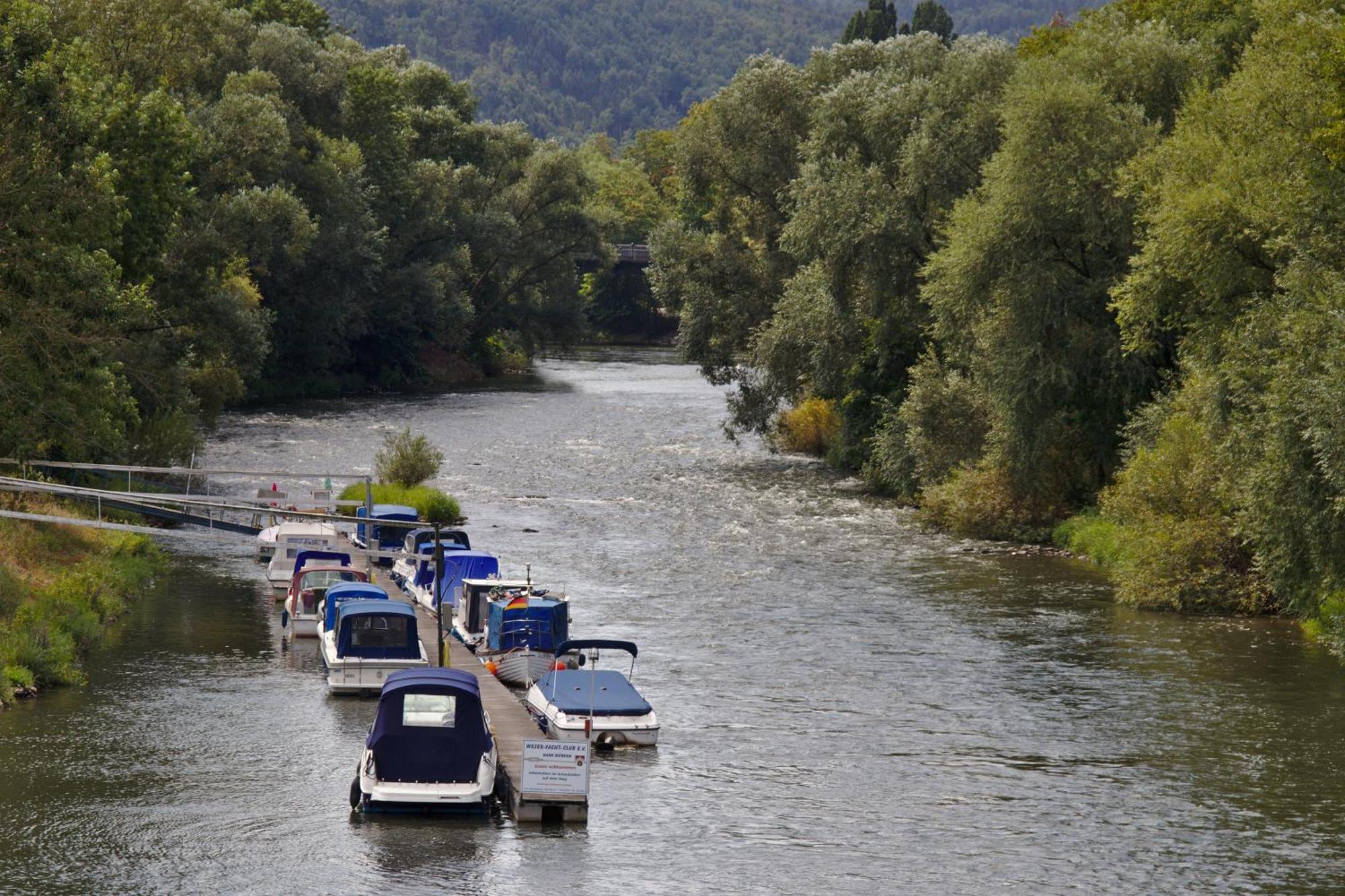 Froschkoenig Mit Teichblick Lägenhet Trendelburg Exteriör bild