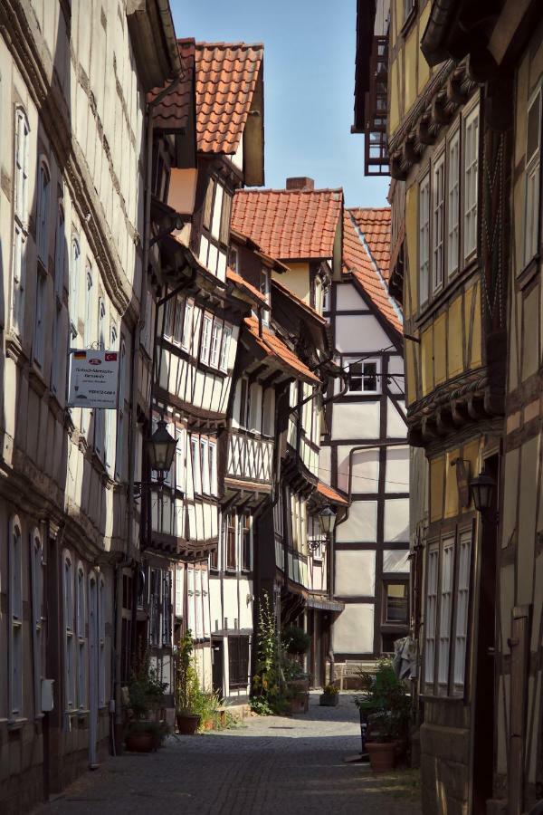 Froschkoenig Mit Teichblick Lägenhet Trendelburg Exteriör bild